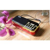 Đài FM Carrie CA-121 đọc usb, thẻ nhớ