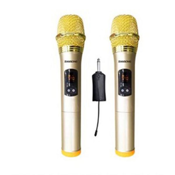 Micro Karaoke đôi không dây Zansong VI-2