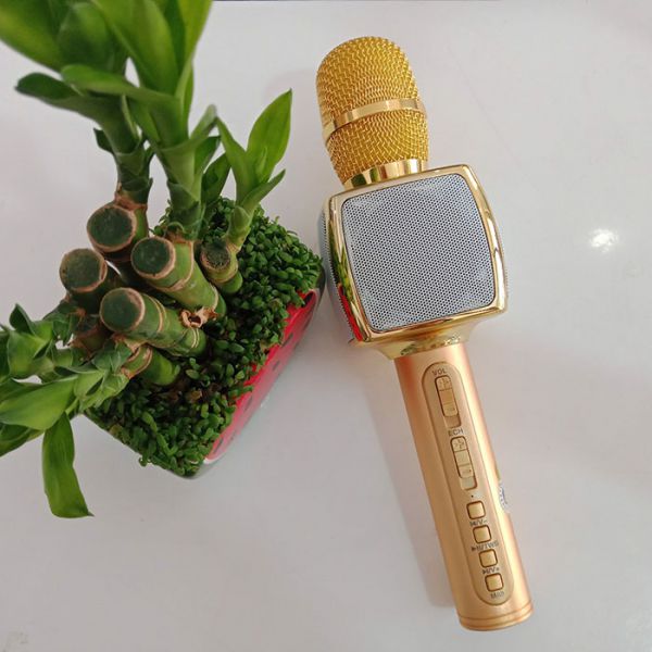 Micro Karaoke Bluetooth kèm loa SDRD SD-16 chính hãng