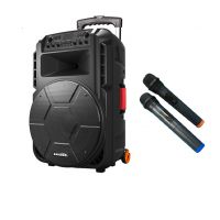 Loa kéo A/D/S HC-T15F chính hãng tặng kèm mic không dây