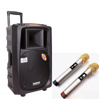 Loa kéo Temeisheng DP-2398T chính hãng tặng kèm micro không dây