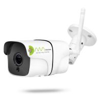 Camera IP Wifi Kiwivision A200 1 Râu Ngoài Trời 2.0Mpx