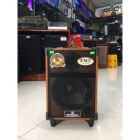 Loa kéo Mitsunal T-803 kèm 2 mic chính hãng