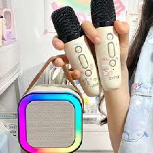 Loa Bluetooth SY-13 Kèm 2 Micro Không Dây Hát Karaoke