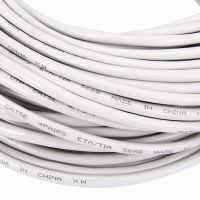 Dây Mạng Đúc Sẵn 2 Đầu Cat6 20m